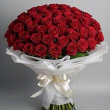 Букет 101 Красная роза Блэк Мэджик в Кировский