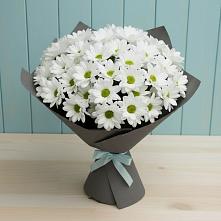 Букет цветов из:  Хризантемы в Кировский