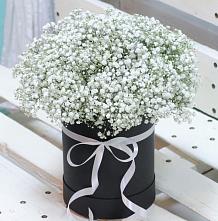 Цветочная композиция из Гипсофила в шляпной коробке #REPLACE_PRED# Кировский