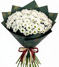 Букет цветов из:  Хризантемы в Кировский