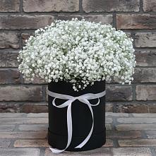 Цветочная композиция из Гипсофила в шляпной коробке #REPLACE_PRED# Кировский