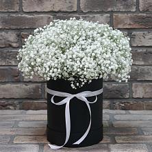 Цветочная композиция из Гипсофила в шляпной коробке в Кировский