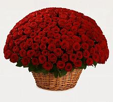 Премиум букет из: Розы в Кировский