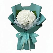 Букет цветов из:  Гортензия в Кировский